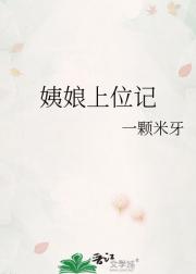 姨娘上位记
