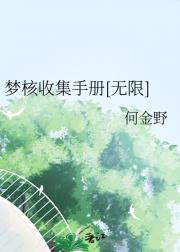 梦核收集员的报告手册[无限]