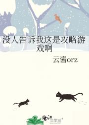 没人告诉我这是攻略游戏啊