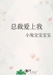 总裁爱上我