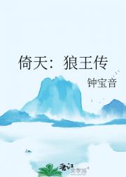 倚天：狼王传