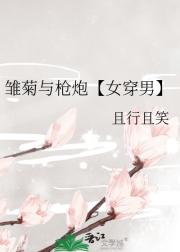 雏菊与枪炮【女穿男】