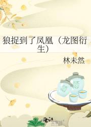 狼捉到了凤凰（龙图衍生）