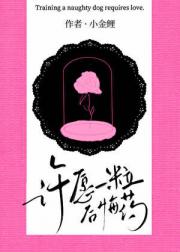 许愿一粒后悔药[姐狗]