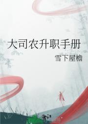 大司农升职手册