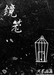 镜笼