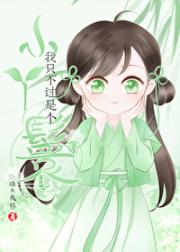 我只不过是个小丫鬟