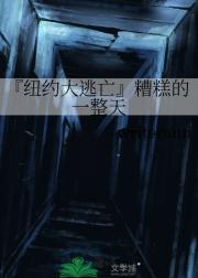 『纽约大逃亡』糟糕的一整天