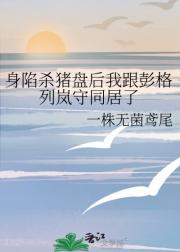 身陷杀猪盘后我跟彭格列岚守同居了
