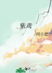 紫鸢
