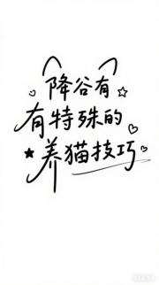 是焦糖蛋糕的零