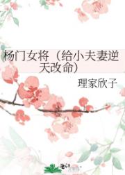 杨门女将（给小夫妻逆天改命）