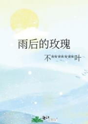 雨后的玫瑰
