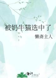 被奶牛猫选中了
