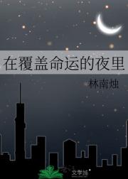 在覆盖命运的夜里