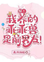 我靠养前任爆红驯兽界