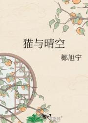 猫与晴空