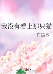 我没有看上那只猫