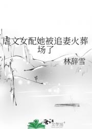 虐文女配她被追妻火葬场了