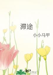 滞途