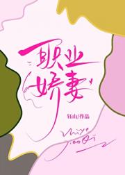 职业娇妻