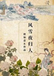 风雪夜归人
