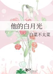 他的白月光