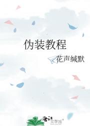 伪装教程