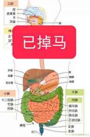 原来我不是精神病啊