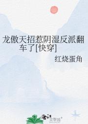 龙傲天招惹阴湿反派翻车了[快穿]