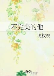 不完美的他