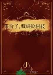 集合了,海贼捡树枝