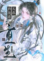 重生后被迫和徒弟魂修？