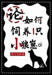 论如何饲养一只小狼崽