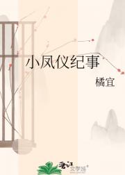 小凤仪纪事