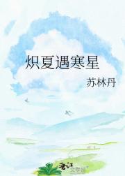 炽夏遇寒星