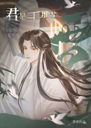 君是千堆雪
