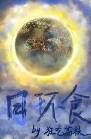 日环食