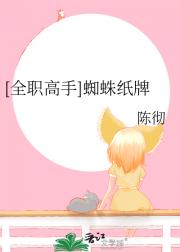 [全职高手]蜘蛛纸牌