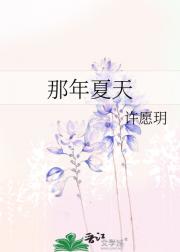 那年夏天