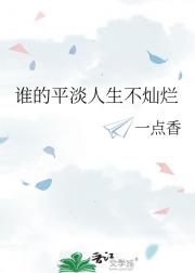 谁的平淡人生不灿烂