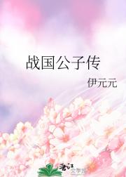 战国公子传