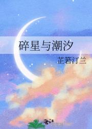 碎星与潮汐