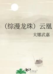 （综龙珠）云凰