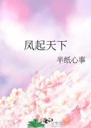 凤起天下
