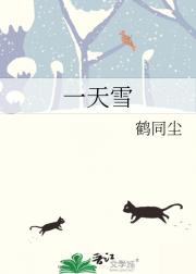 一天雪