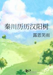 秦川历历汉阳树