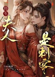 将军，夫人是刺客