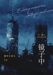 [赛博朋克2077]镜子中