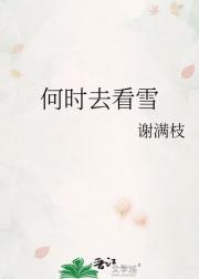 何时去看雪